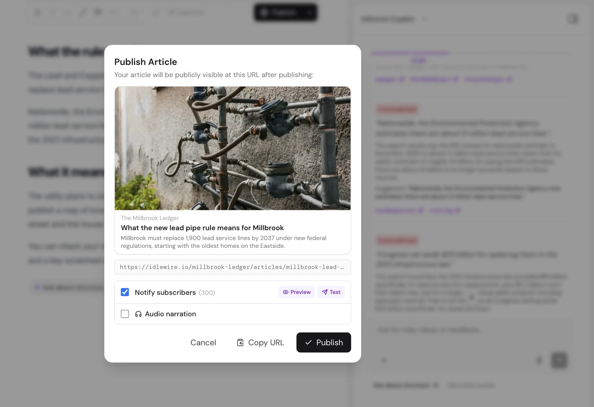 Publishing a Millbrook Ledger story, with the option to email all 300 subscribers